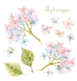 watercolor hydrangea set vector image