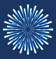 fireworks with beskami and highlights vector image
