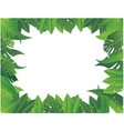 tropical leaf background vector image