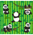 seamless pattern with panda vector image vector image