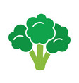 broccoli symbol vector image