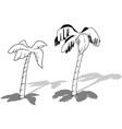 drawing of two coconut palm trees vector image vector image
