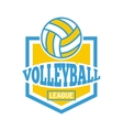 volleyball badge vector image