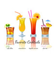 favorite cocktails set isolated vector image