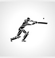 batsman athlete playing cricket vector image