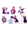 cute penguin character celebrate christmas vector image