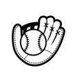baseball sport design vector image
