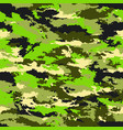 camouflage military background vector image