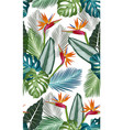 seamless pattern with bird paradise tropical vector image