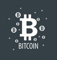 icon bitcoin vector image