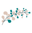 plant branch leaves minimalist twig with flora vector image vector image