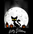 halloween background with cat and pumpkins vector image