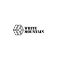 geometric logo vector image