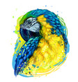 macaw parrot hand-drawn artistic portrait vector image vector image