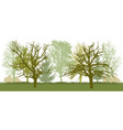 bare trees early spring park vector image vector image