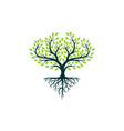 tree-logo vector image