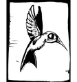 hummingbird vector image