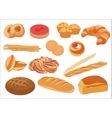 set of healthy natural bread products and bakery vector image