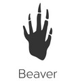 beaver footprint wild animal black foot stamp vector image vector image