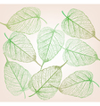 fresh green leaves background vector image