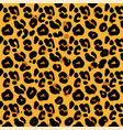 pattern skin leopard vector image