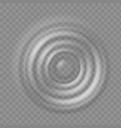 realistic water ripple sound wave splash effects vector image vector image