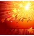 elegant autumn banner vector image vector image