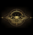 golden moth over sacred geometry sign isolated vector image