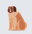 short-haired saint bernard dog icon furry human vector image vector image