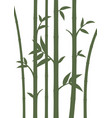 background with bamboo stems vector image