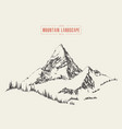 mountain peak pine forest style hand drawn vector image