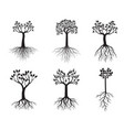 set back tres with roots outline vector image vector image