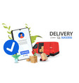 online delivery phone concept fast respond vector image