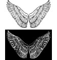 contour drawing of black and white abstract vector image