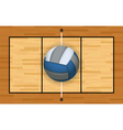 volleyball on a court vector image vector image