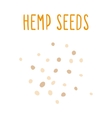 hemp seeds vector image
