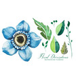 watercolor blue flower and leaves decoration pack vector image vector image