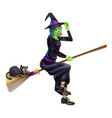 witch on broom with black cat vector image vector image