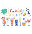 tropical cocktail set hand drawn exotic cold vector image