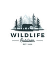 bear mountain and pine cedar conifer wilderness vector image vector image