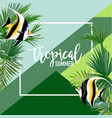 tropical fish summer banner graphic background vector image