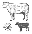 british butcher cuts of beef diagram vector image vector image