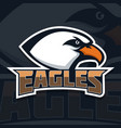 eagles emblem template with eagle head sport team vector image