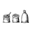 hand drawn wheat grains in bag sketch drawing vector image vector image