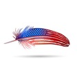 isolated feather american flag vector image