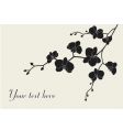 stylized orchid branch vector image vector image