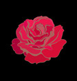 decorative red rose flower isolated on black vector image vector image