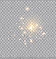 golden fire on a transparent background vector image