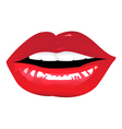 red lips vector image vector image