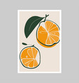 citrus design over gray background eps10 vector image